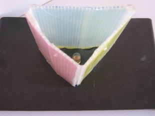 Φωτογραφικό Υλικό