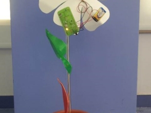 Φωτογραφικό Υλικό