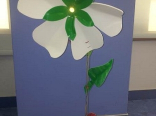 Φωτογραφικό Υλικό