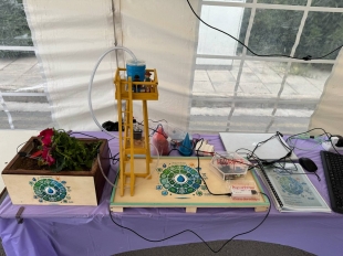 Picaxe Arduino