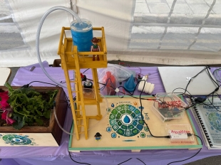 Picaxe Arduino